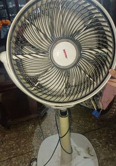 ROYAL FAN FOR SALE