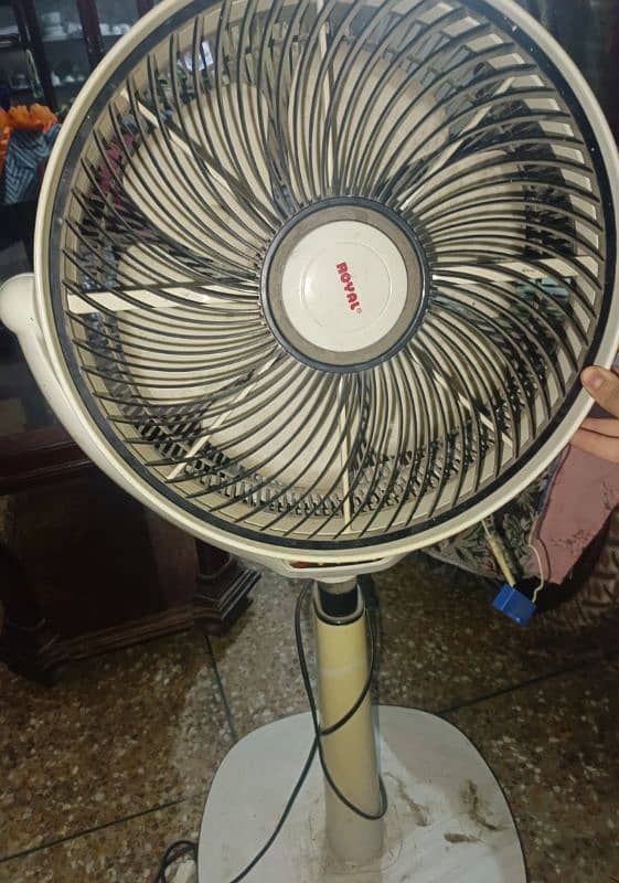 ROYAL FAN FOR SALE 0