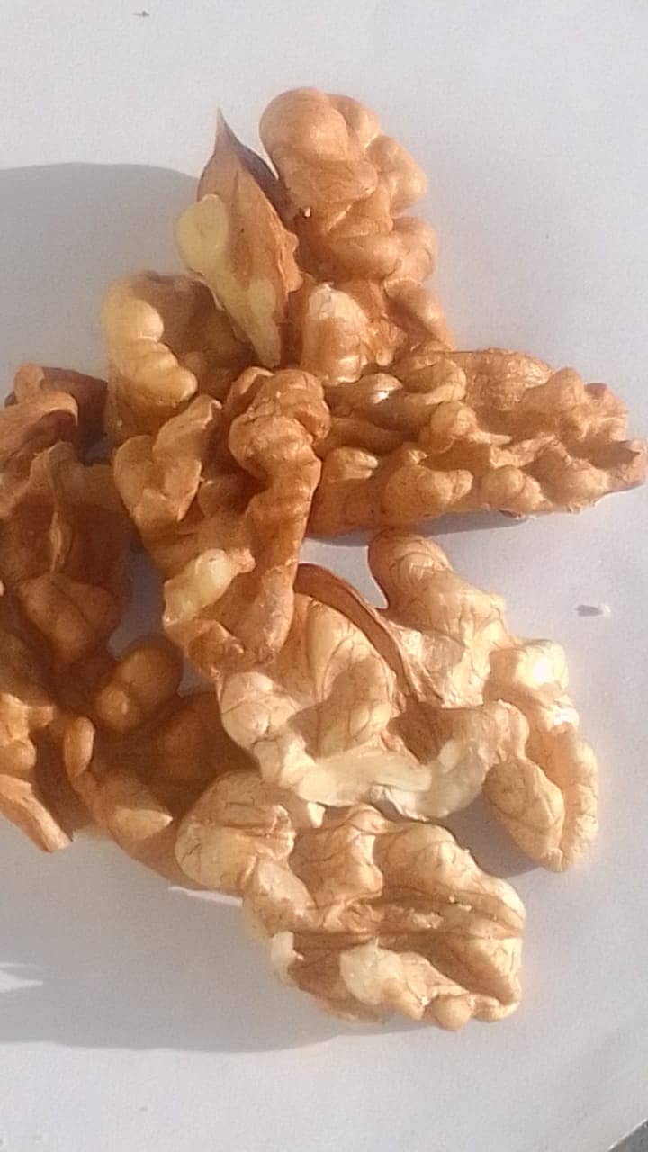 walnut Desi Akhort seed 2