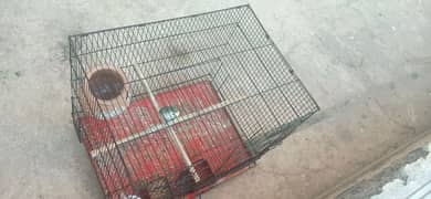 single piece Rosi colli Hy last peice aur aik large cage available hay