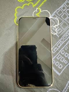 iPhone 12 Pro Max 128 GB PTA Approved