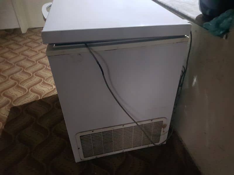 Dawlance Single door deep freezer 1