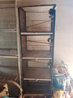 Parrot Cage Hen Cage Iron Cage