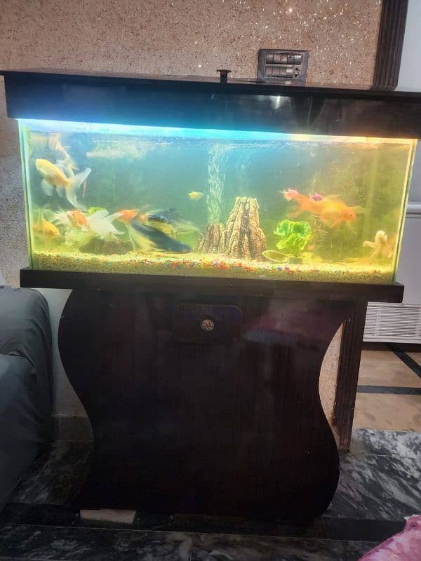 3 foot aquarium for sale 1