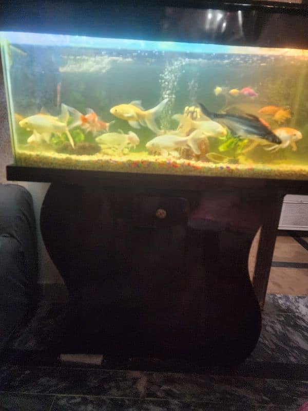 3 foot aquarium for sale 3