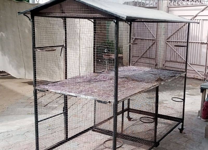 Pinjra , Bird Cage 0