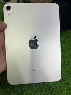 ipad mini 6 wifi starlight 64gb