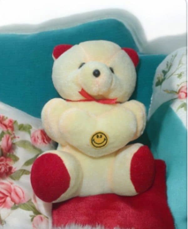 Bumper sale New teddy bears for sale in different colors and best qual 4