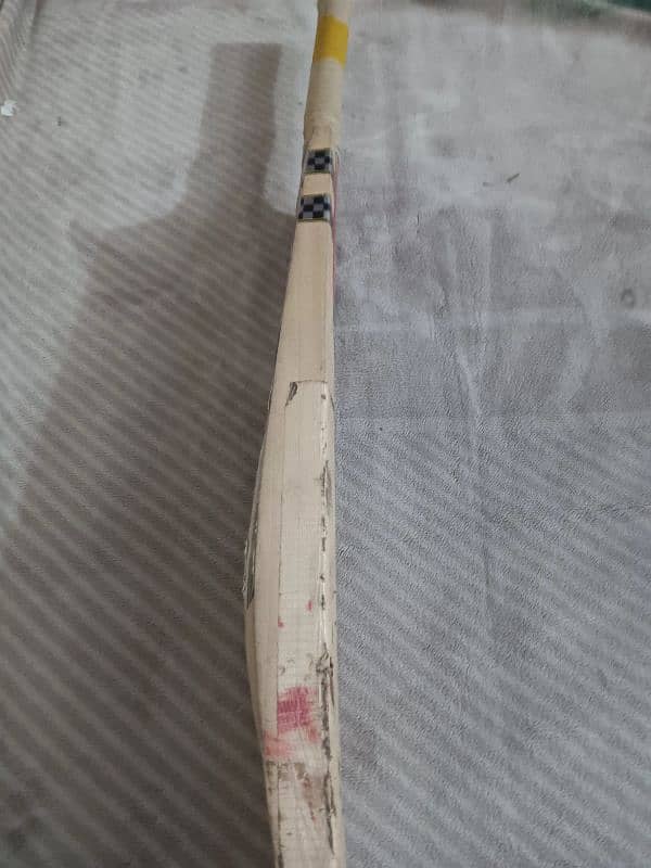 Gray Nicolls 1