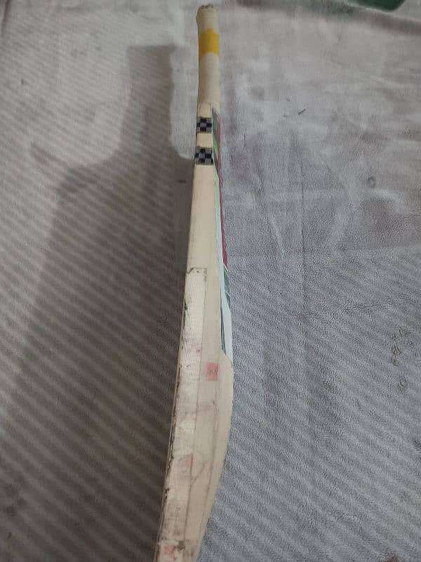 Gray Nicolls 2