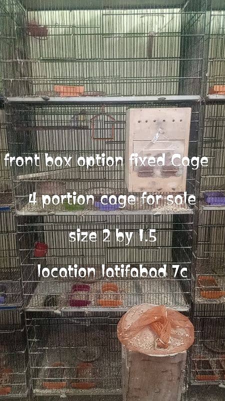 all breeder pairs for sale 3