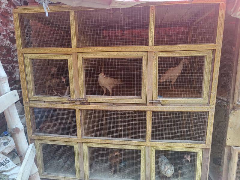 cage for Sale 3