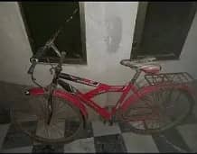 urgent best cycle for sale 1