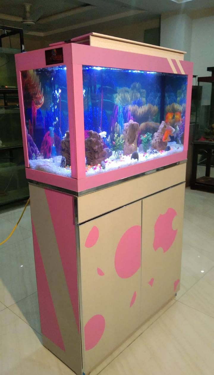 Fish Aquariums,Aquariums,Fish,Aquarium for sale 12