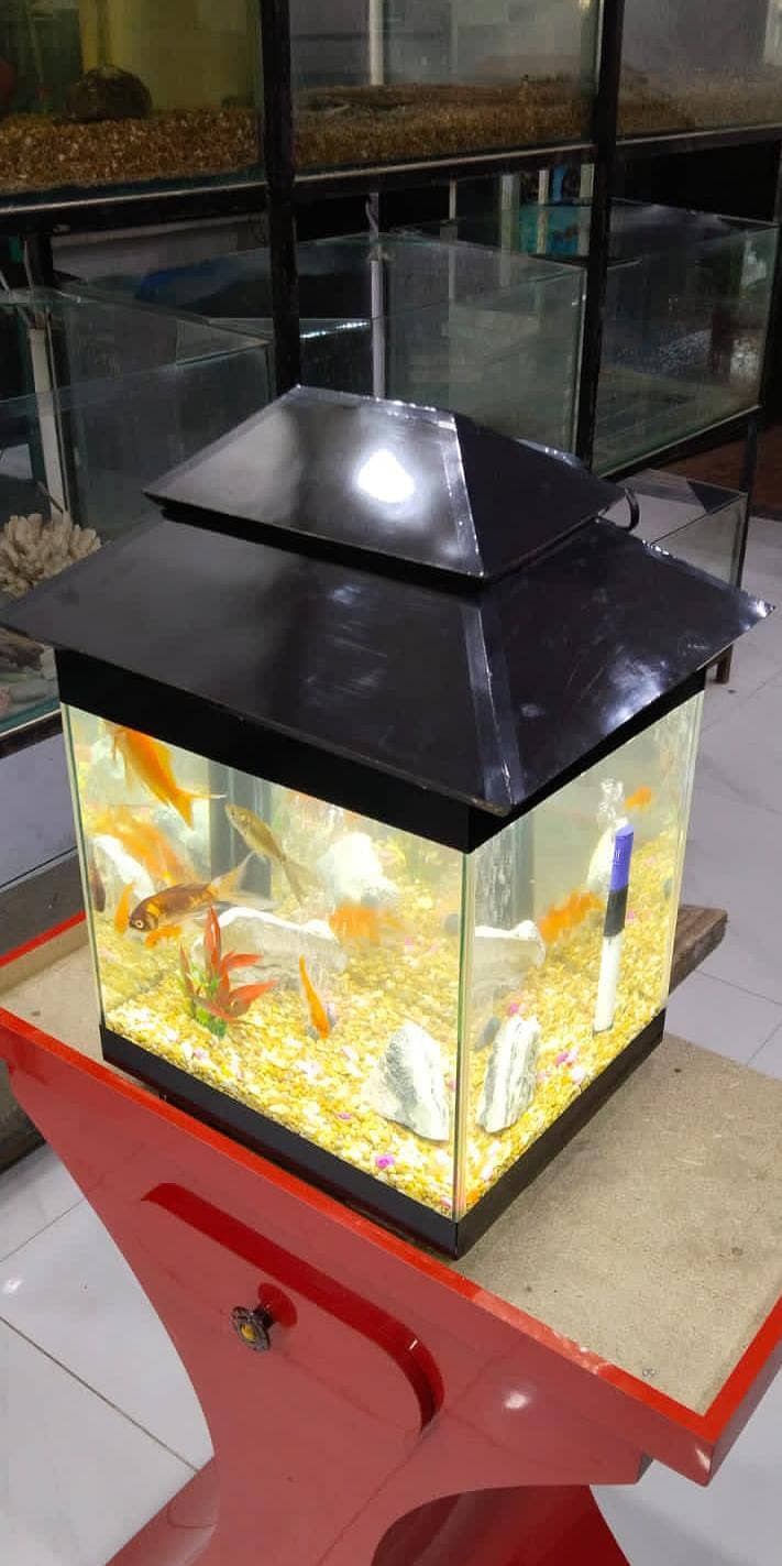 Fish Aquariums,Aquariums,Fish,Aquarium for sale 14