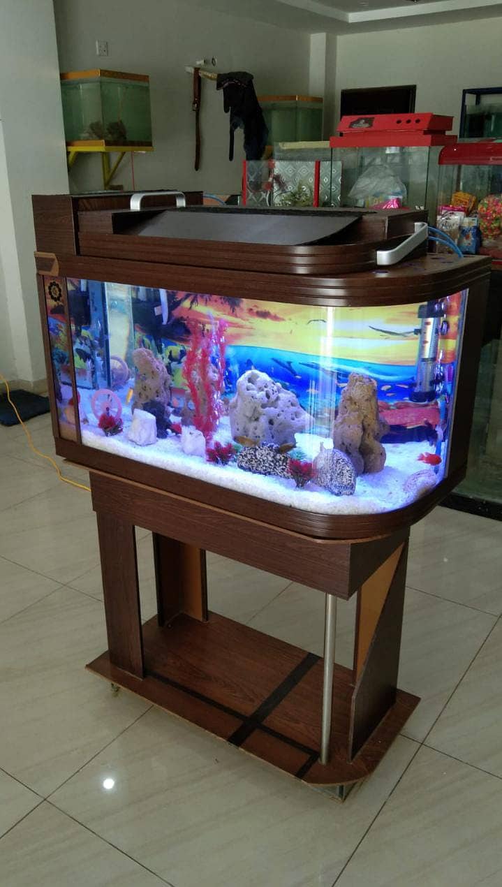 Fish Aquariums,Aquariums,Fish,Aquarium for sale 16