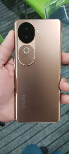 vivo