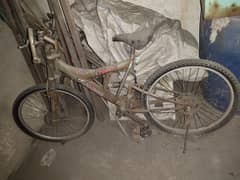 cycle for sale