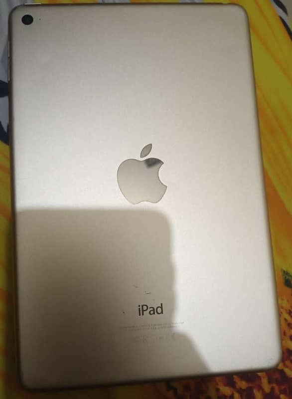 iPad mini 4 1