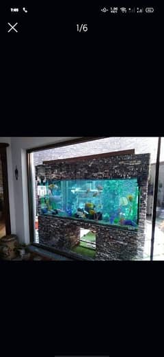 Fish Aquarium Service and Maintaince