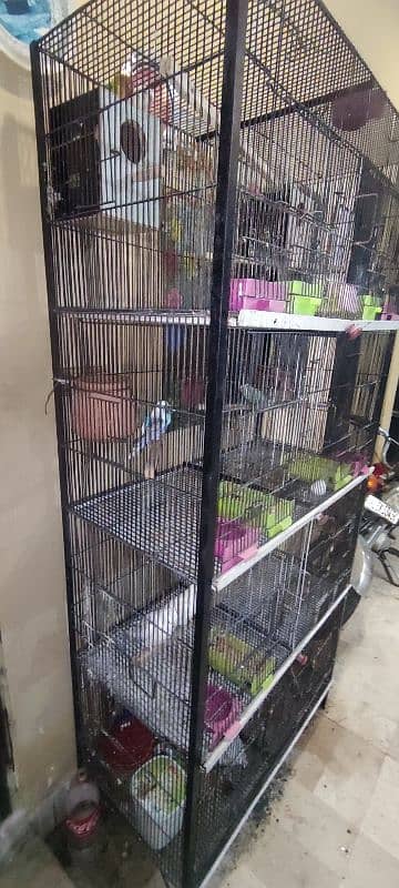 cage, love bird, cockatile, budgerigar 0