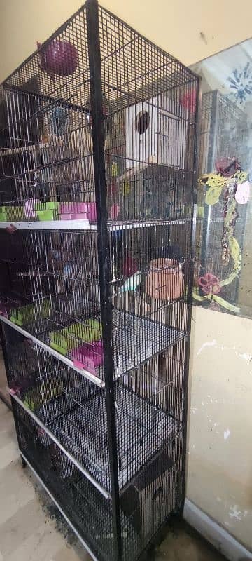 cage, love bird, cockatile, budgerigar 1