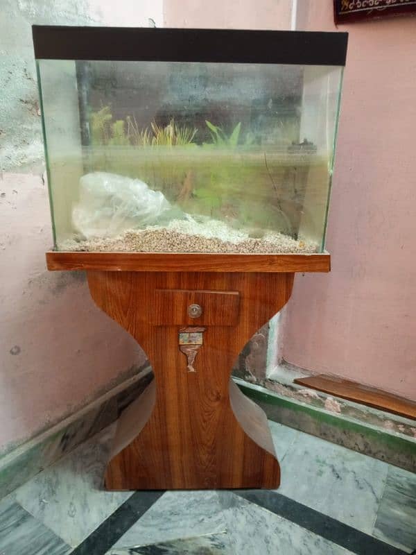 Fish tank Best quality of work 0