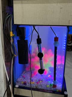 aquarium with heater, pump and light