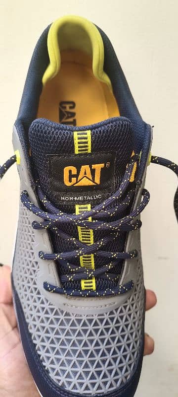 CAT shoes 6