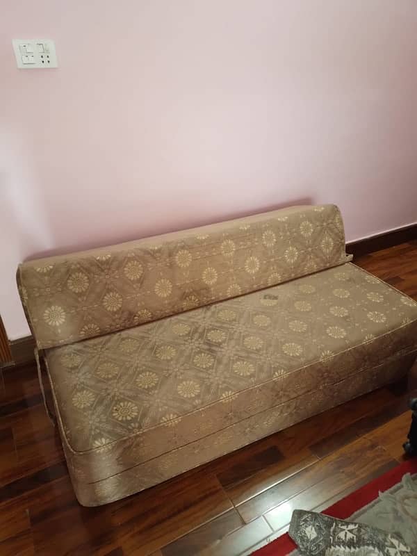 Sofa cum bed 1