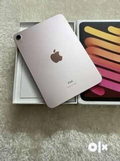 iPad Mini 6 Pink with Box (in warranty)