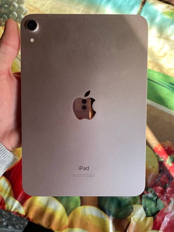 iPad Mini 6 Pink with Box (in warranty) 1