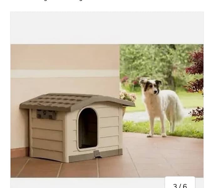 Imported Dog House by BAMA Italy is for Sale 6