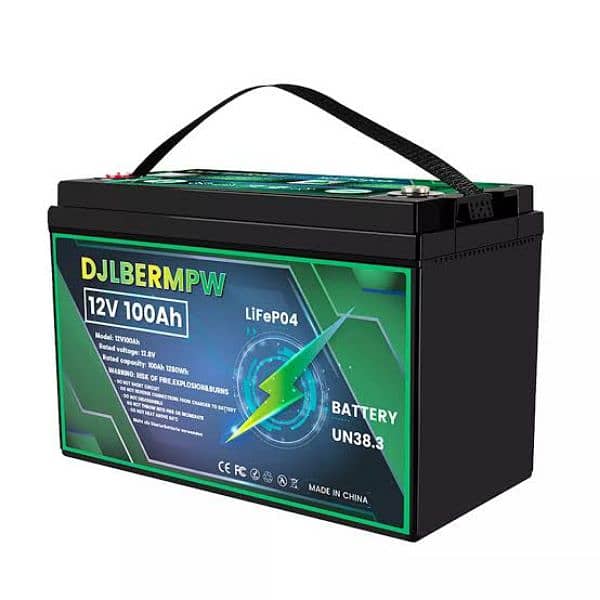 dongjin 12 v  LiFePO4 battery 1