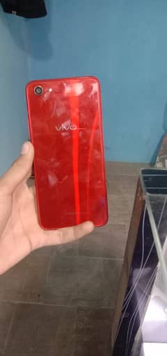 vivo