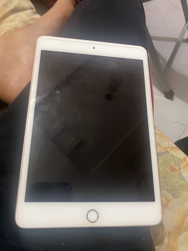 IPAD MINI 5 0