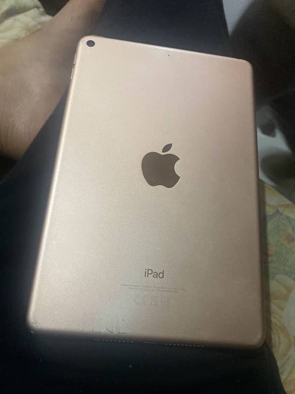 IPAD MINI 5 1