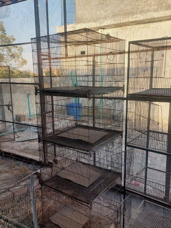 pigeons and parrots cage 0