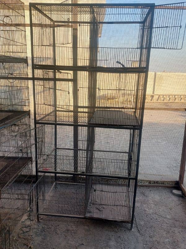 pigeons and parrots cage 1