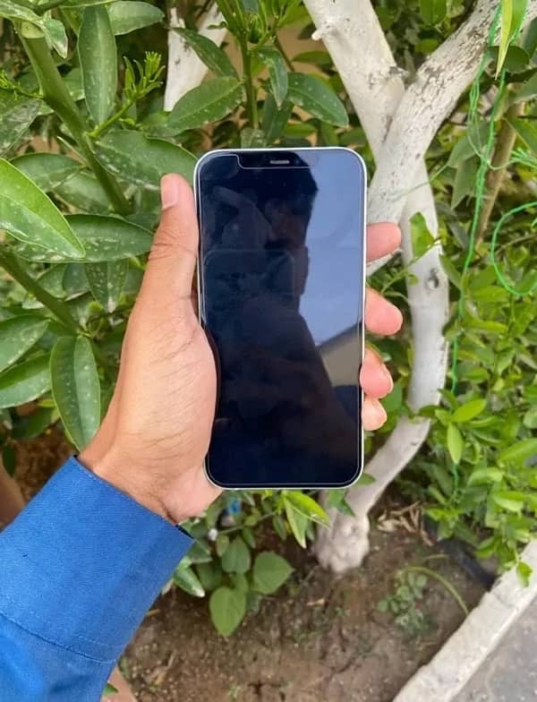 iphone 12 factory unlock 64gb exchange posible 3