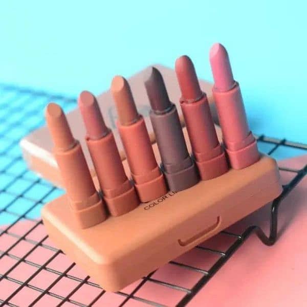 6 Pcs warm undertone lipstick set for Bold coverage 2