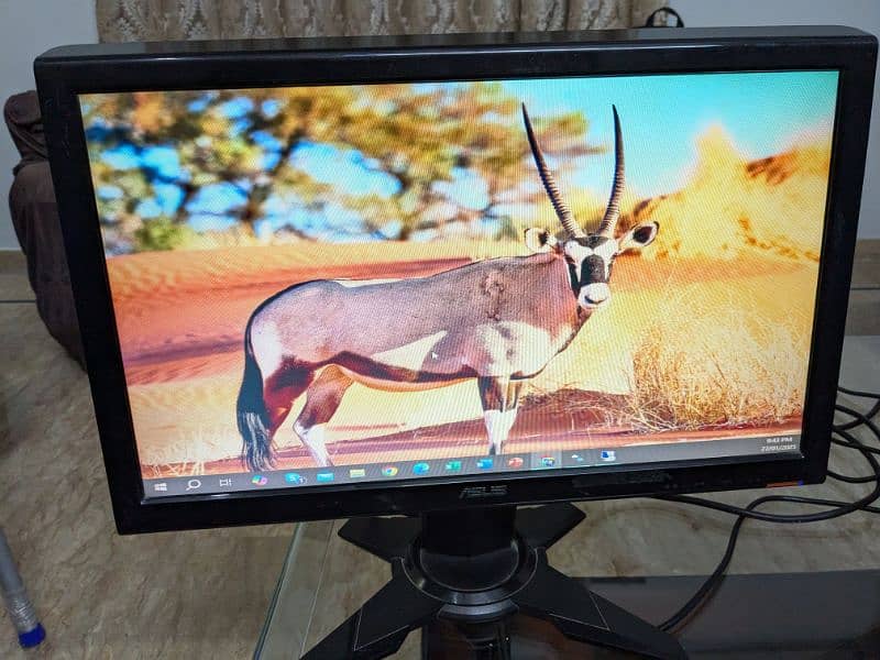 Monitor LCD 19'' 0