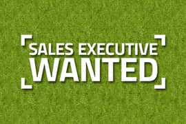 Sales Executive - IT Sales