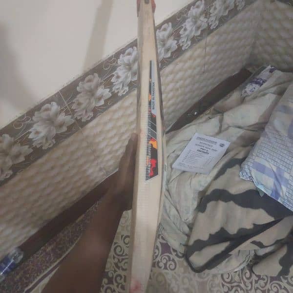 HS hardball cricket bat 1