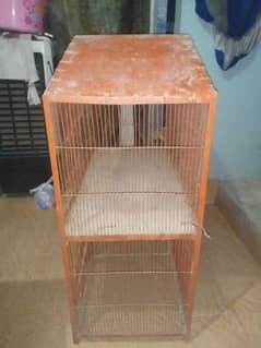 hen and parrot cage