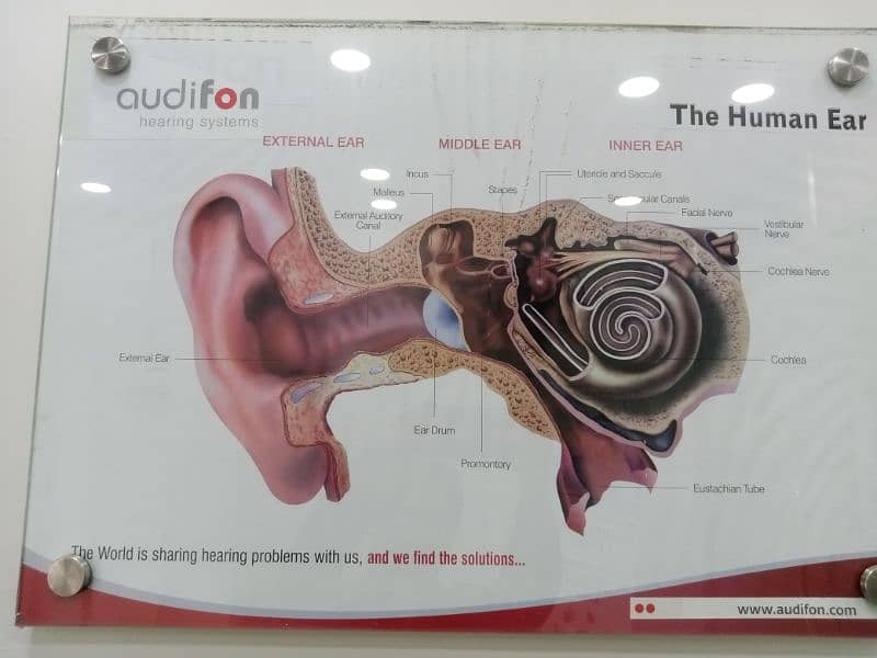 Hearing Aids 1