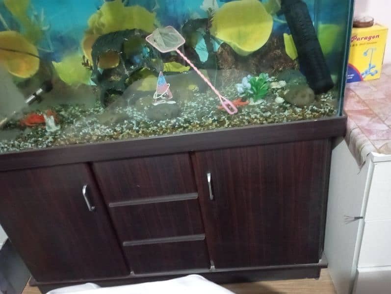 Fish Aquarium 0