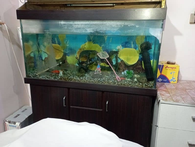 Fish Aquarium 1