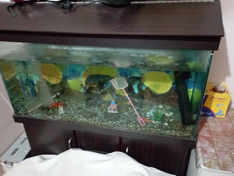 Fish Aquarium 3