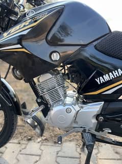 Yamaha